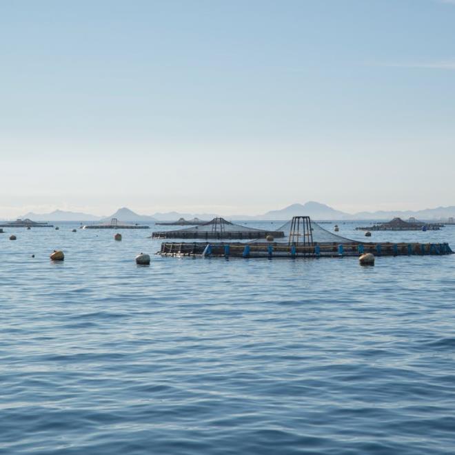 1655711365416336.jpg 養(yǎng)殖.jpg