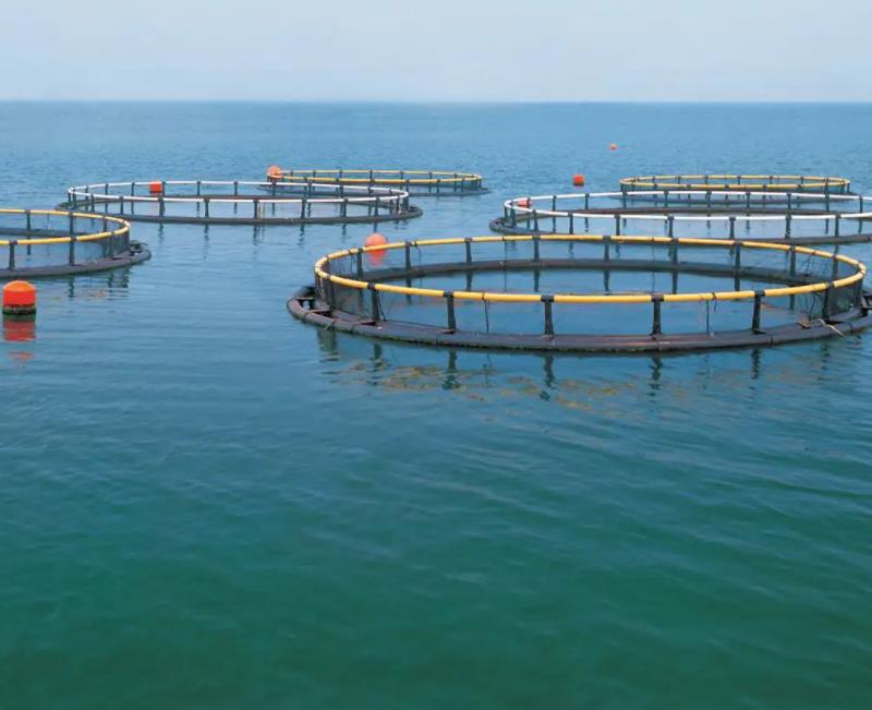 1658300874993695.jpg 養(yǎng)殖1.jpg