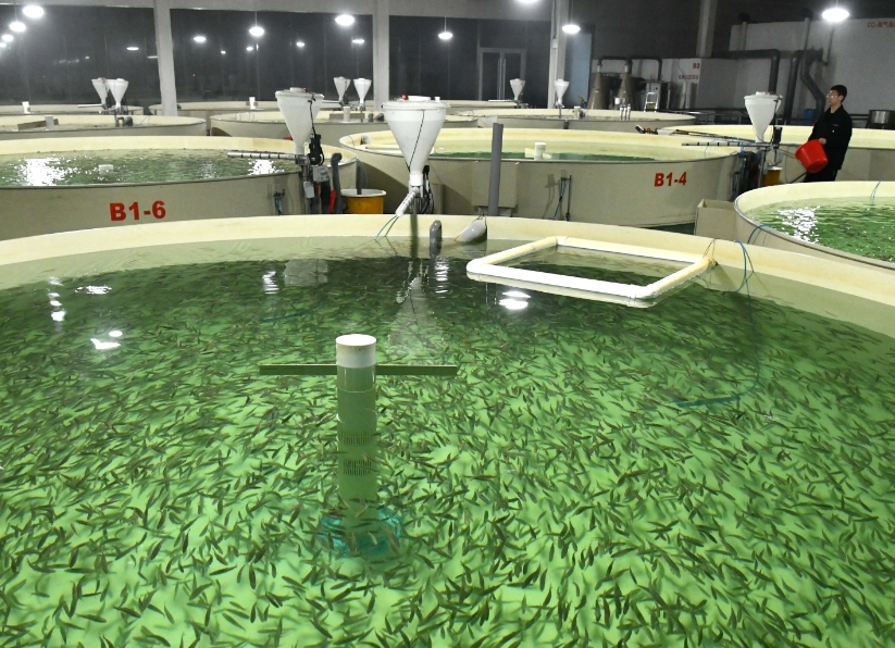 1751855805429294.png 1751855805429294.png