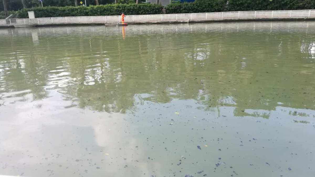 1757382651145632.jpeg 1757382651145632.jpeg