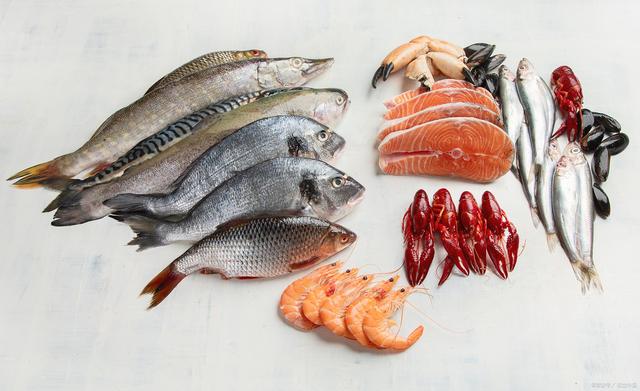 1758855557547116.jpeg 水產養殖.jpeg