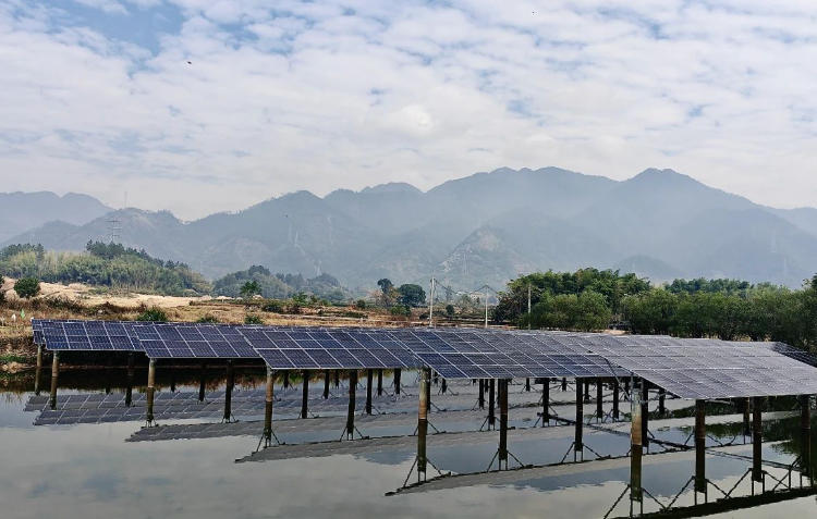 1765418597207947.jpg 漁光互補項目.jpg